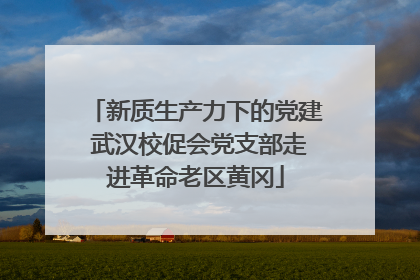 新质生产力下的党建 武汉校促会党支部走进革命老区黄冈