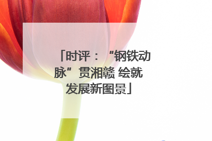 时评：“钢铁动脉”贯湘赣 绘就发展新图景
