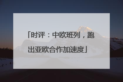 时评：中欧班列，跑出亚欧合作加速度
