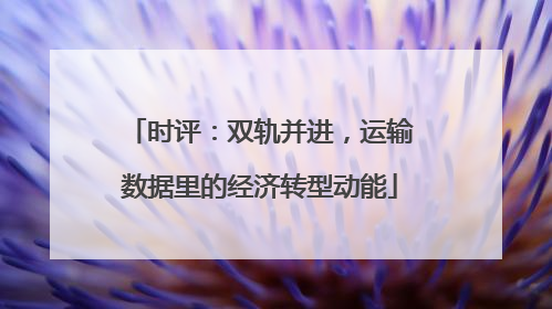 时评：双轨并进，运输数据里的经济转型动能