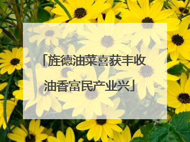 旌德油菜喜获丰收 油香富民产业兴