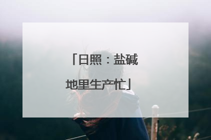 日照：盐碱地里生产忙