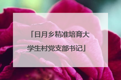 日月乡精准培育大学生村党支部书记