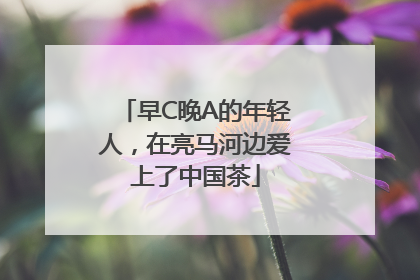 早C晚A的年轻人，在亮马河边爱上了中国茶