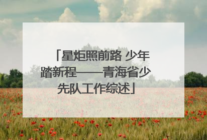 星炬照前路 少年踏新程——青海省少先队工作综述