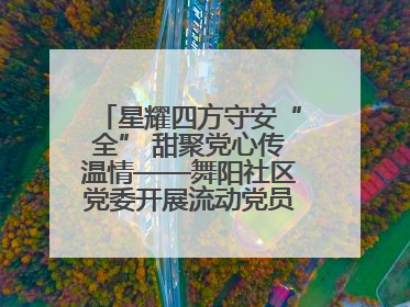 星耀四方守安“全” 甜聚党心传温情——舞阳社区党委开展流动党员建党节主题活动