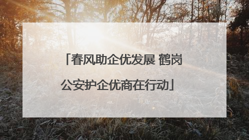 春风助企优发展 鹤岗公安护企优商在行动