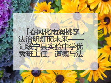 春风化雨润桃李，法治明灯照未来——记绥宁县实验中学优秀班主任、道德与法治教师张