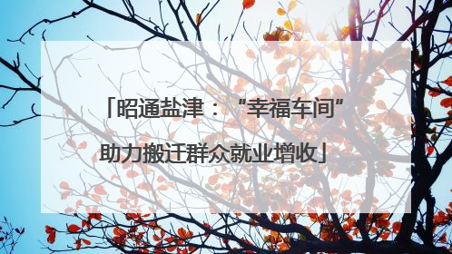 昭通盐津：“幸福车间”助力搬迁群众就业增收