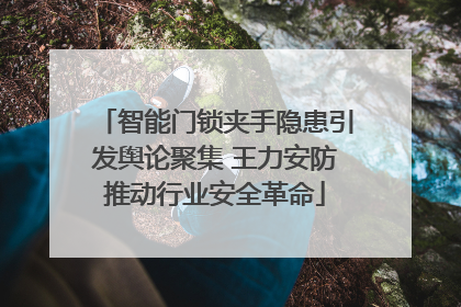 智能门锁夹手隐患引发舆论聚集 王力安防推动行业安全革命