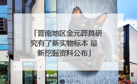 晋南地区金元葬具研究有了新实物标本 最新挖掘资料公布