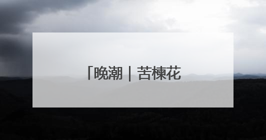 晚潮｜苦楝花在夏天飘落