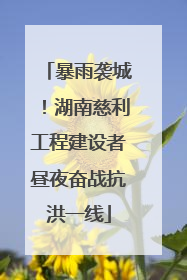 暴雨袭城！湖南慈利工程建设者昼夜奋战抗洪一线