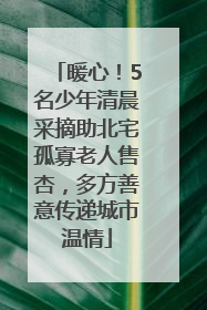 暖心！5名少年清晨采摘助北宅孤寡老人售杏，多方善意传递城市温情