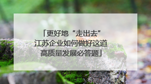 更好地“走出去” 江苏企业如何做好这道高质量发展必答题