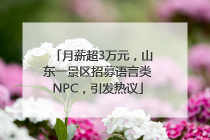 月薪超3万元，山东一景区招募语言类NPC，引发热议
