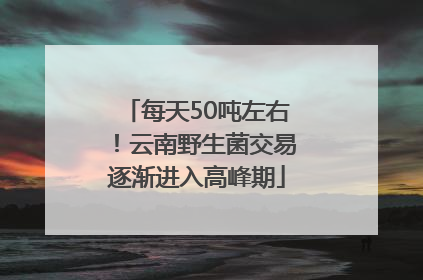 每天50吨左右！云南野生菌交易逐渐进入高峰期