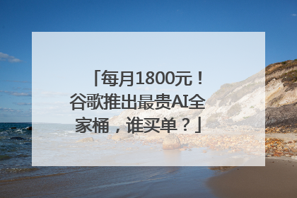 每月1800元！谷歌推出最贵AI全家桶，谁买单？