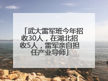 武大雷军班今年招收30人，在湖北招收5人，雷军亲自担任产业导师