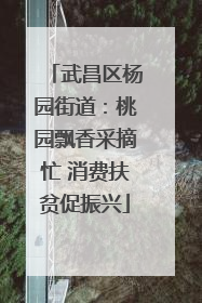 武昌区杨园街道：桃园飘香采摘忙 消费扶贫促振兴