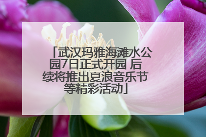 武汉玛雅海滩水公园7日正式开园 后续将推出夏浪音乐节等精彩活动