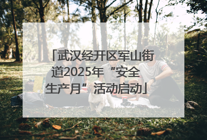 武汉经开区军山街道2025年“安全生产月”活动启动