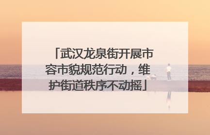 武汉龙泉街开展市容市貌规范行动，维护街道秩序不动摇