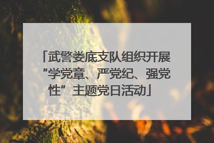 武警娄底支队组织开展“学党章、严党纪、强党性”主题党日活动