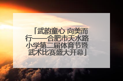 武韵童心 向美而行——合肥市天水路小学第二届体育节暨武术比赛盛大开幕
