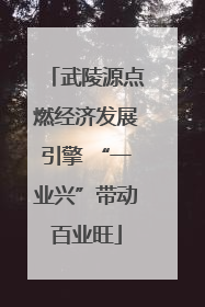 武陵源点燃经济发展引擎 “一业兴”带动百业旺