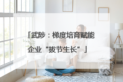 武陟：梯度培育赋能企业“拔节生长”