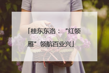 桂东东洛：“红领雁”领航百业兴