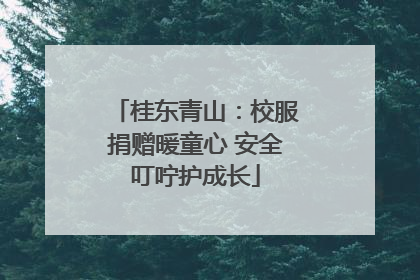桂东青山：校服捐赠暖童心 安全叮咛护成长