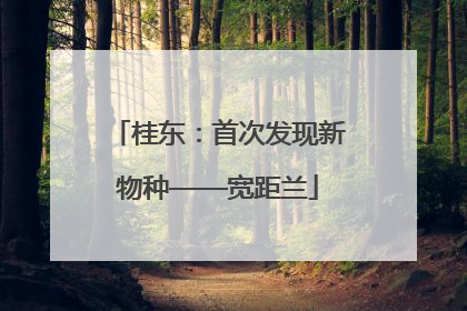 桂东：首次发现新物种——宽距兰