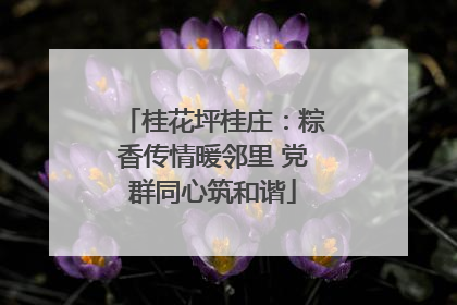 桂花坪桂庄：粽香传情暖邻里 党群同心筑和谐
