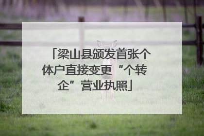 梁山县颁发首张个体户直接变更“个转企”营业执照
