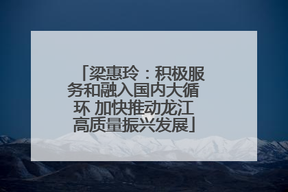 梁惠玲：积极服务和融入国内大循环 加快推动龙江高质量振兴发展