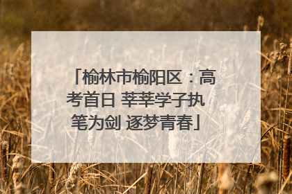 榆林市榆阳区：高考首日 莘莘学子执笔为剑 逐梦青春