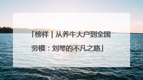 榜样｜从养牛大户到全国劳模：刘琴的不凡之路