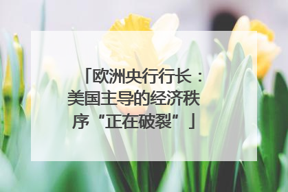 欧洲央行行长：美国主导的经济秩序“正在破裂”