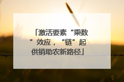 激活要素“乘数”效应，“链”起供销助农新路径
