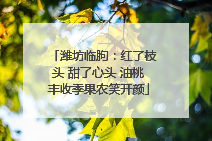 潍坊临朐：红了枝头 甜了心头 油桃丰收季果农笑开颜