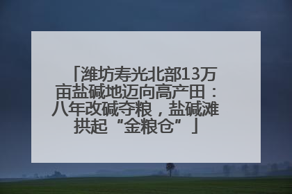 潍坊寿光北部13万亩盐碱地迈向高产田：八年改碱夺粮，盐碱滩拱起“金粮仓”