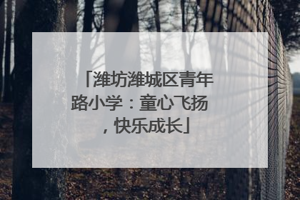 潍坊潍城区青年路小学：童心飞扬，快乐成长