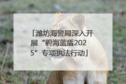 潍坊海警局深入开展“碧海蓝盾2025”专项执法行动