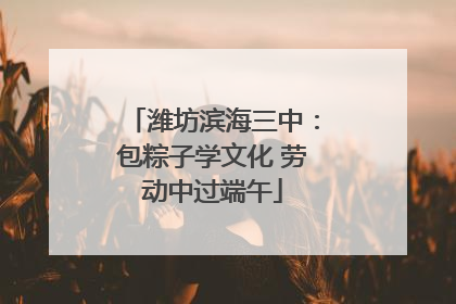 潍坊滨海三中：包粽子学文化 劳动中过端午