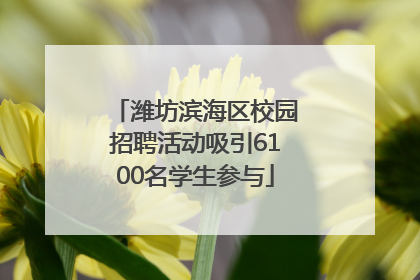 潍坊滨海区校园招聘活动吸引6100名学生参与