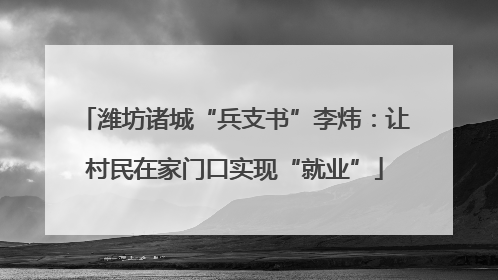 潍坊诸城“兵支书”李炜：让村民在家门口实现“就业”