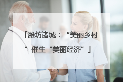 潍坊诸城：“美丽乡村”催生“美丽经济”