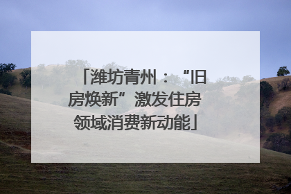 潍坊青州：“旧房焕新”激发住房领域消费新动能